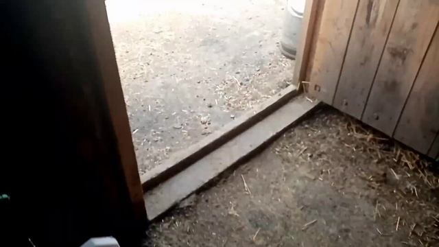 Эксперимент:какой вес может поднять слепень (бзык)???? смотреть онлайн