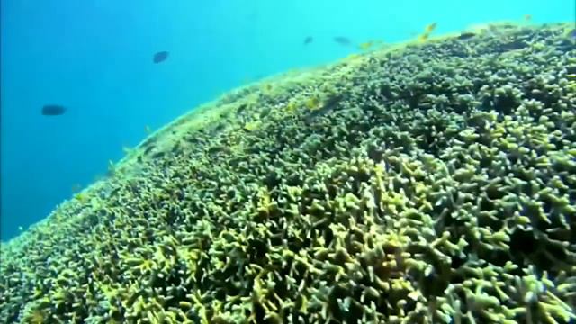 Wonderful life - Black / Katie Melua - Acoustic version (cover) смотреть онлайн