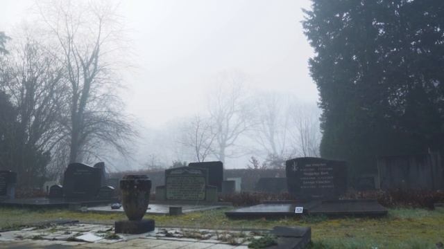 Звуки кладбища, прогулка среди могил для сна, медитации и релаксации