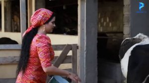 полний версия говчуши  ФАРАХНОЗ шарапова 2023