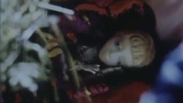 Живи в волшебном ящичке (Песня из мультфильма "Разлученные") смотреть онлайн