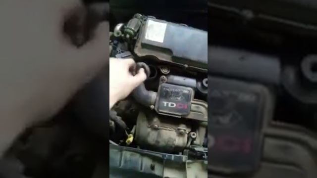 MOTOR FORD FIESTA V 1,4 TDCI 50KW 68CV TIPO F6JA смотреть онлайн