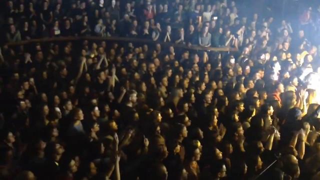 Сегодня ночью никто не умрет