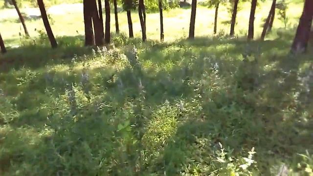 ПРОРВАЛО ТРУБУ!!!!! СПАЛИЛ ПАСТУХ!!!! И ПЕРВОЕ ВИДЕО!!!! смотреть онлайн