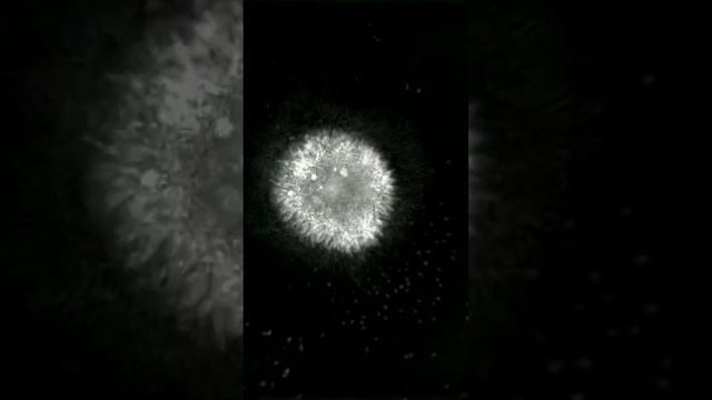 Запрограммированная клеточная гибель #наука #биология смотреть онлайн