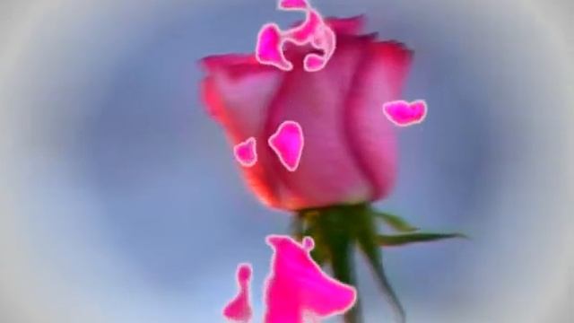 Зимняя роза смотреть онлайн