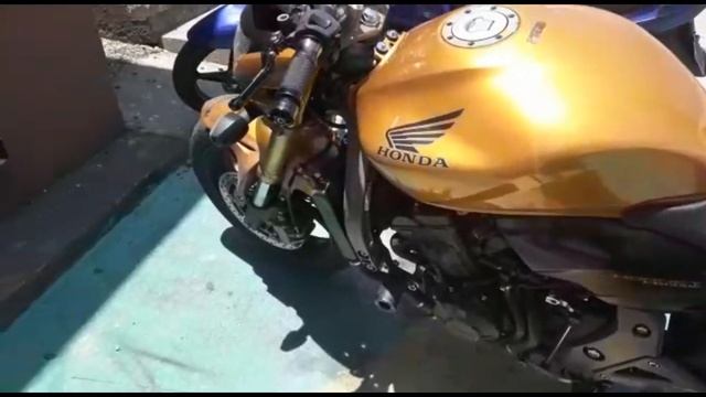 ENVELOPEI A HORNET DE AMARELO FLORESCENTE смотреть онлайн