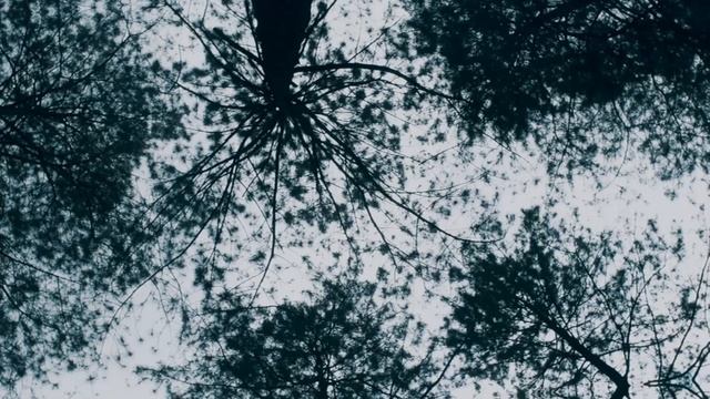 Музыка для релакса, сна, учебы, отдыха, йоги и медитации смотреть онлайн