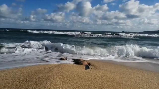 Очень красивый вид на волнистое Черное море Крыма. Без фильтров. 2021 год. смотреть онлайн