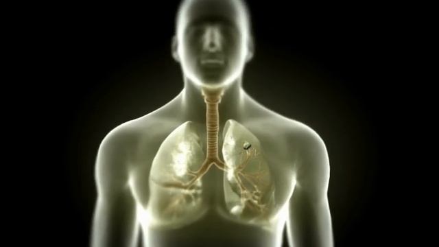 CDC Tuberculosis (TB) Transmission And Pathogenesis Video