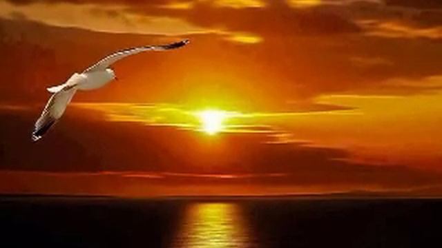 Feelings - Gil Ventura ( Romantic Sax) смотреть онлайн