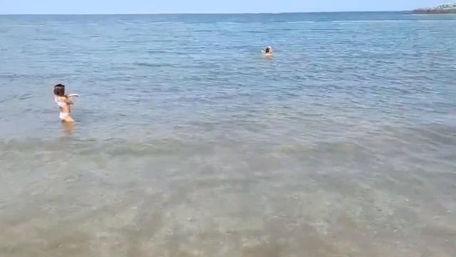 Обзор отеля Al Bahar Resort 5*, ОАЭ, Фуджейра ?? смотреть онлайн