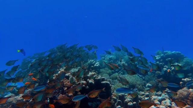 мантра богатства и процветания.денежный поток.мантра денег. смотреть онлайн