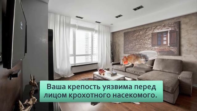 Откуда берутся мошки в квартире круглый год Ответ может отбить желание есть фрукты и овощи смотреть онлайн