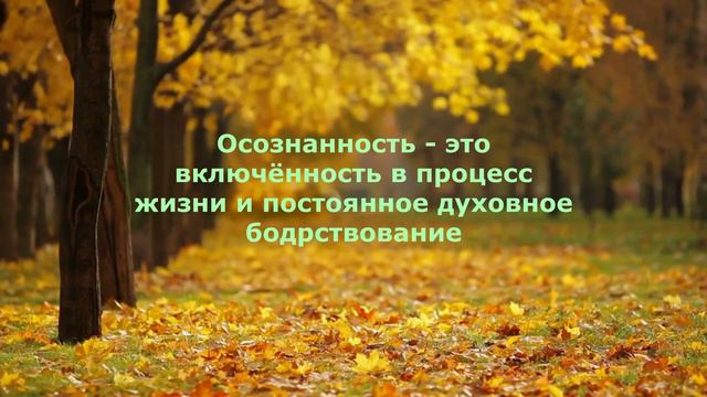 Твой Дом там, где твой Свет! смотреть онлайн