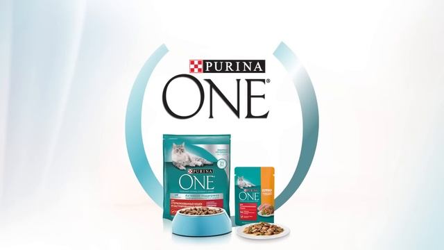 Purina ONE®. Кормите правильно