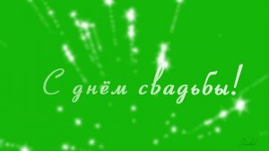 Футаж надпись С ДНЕМ СВАДЬБЫ на зеленом фоне
