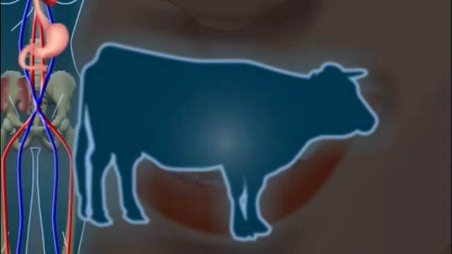 Роторасширитель ОПТРАГЕЙТ смотреть онлайн