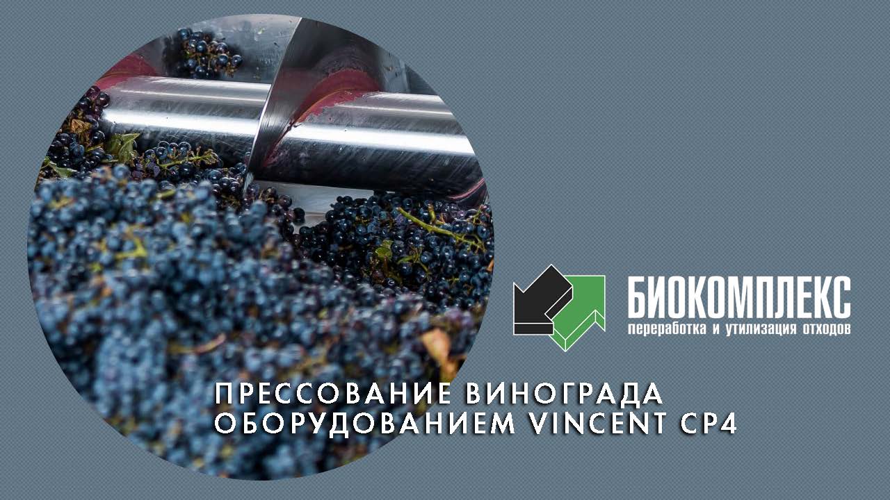Прессование винограда оборудованием Vincent CP 4 смотреть онлайн