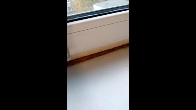 Температурное расширение пластика и штукатурных откосов. смотреть онлайн