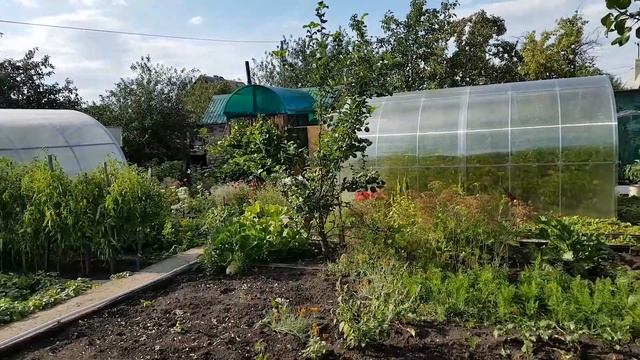 Отдыхаем на даче ??????