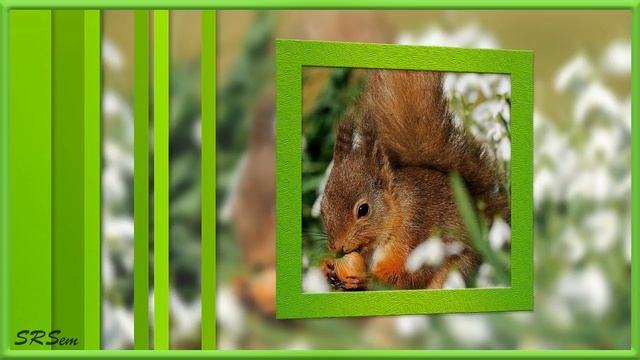 Дыхание весны смотреть онлайн