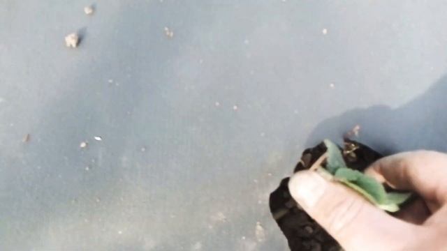 Агроволокно 3м 20см смотреть онлайн