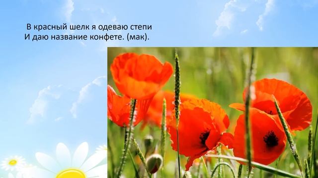 Лето красное пришло! старшая группа смотреть онлайн