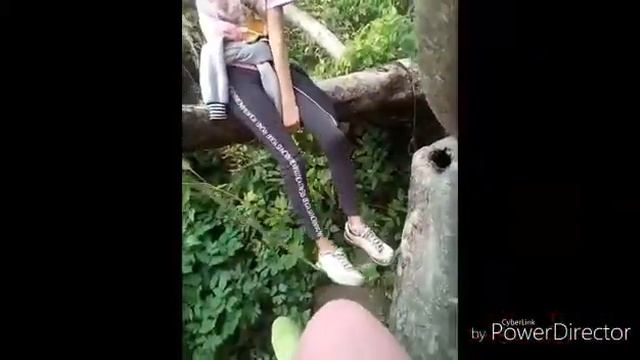 Шок! Вся правда об Элджее!! смотреть онлайн