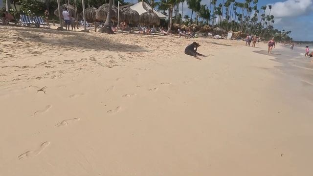 Прогулка с Equinox 900. Подарки от океана. смотреть онлайн