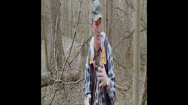 VID20200430154310 Беседуем с Гришей про архитекторов и архитектуру. Разные интересные истории смотреть онлайн