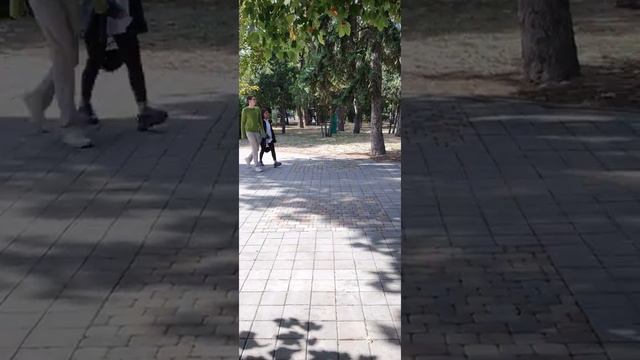 Куда расходуется курортный сбор в Анапе. Как моют "Ленина" и почему нет грязи в городе смотреть онлайн