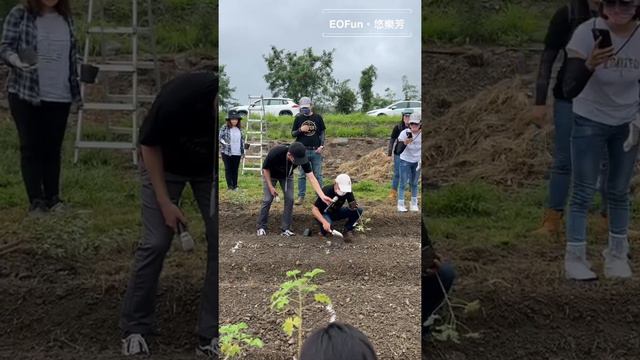 李博士示範玫瑰天竺葵定植 смотреть онлайн