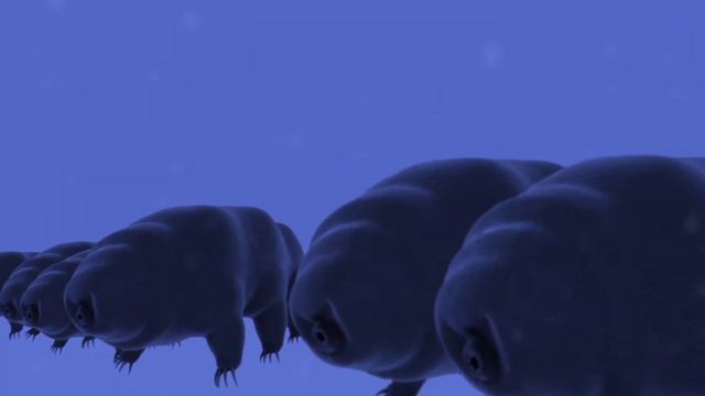 15 самых невероятных животных - долгожителей смотреть онлайн