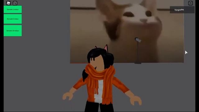Roblox Pop Cat in Roblox смотреть онлайн