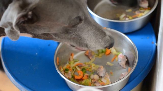 Dinner for greyhounds. Artefakt kennel смотреть онлайн