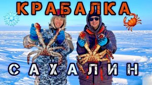 Ловим королевского краба зимой в море! Крабалка Сахалин!
