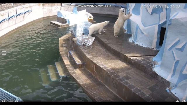 Шайна и Герда заинтересовались генератором 01.06.2020 смотреть онлайн