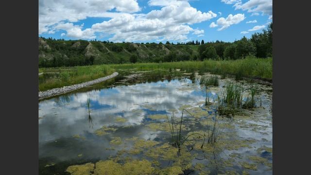 Lumix G100 – How I Use It For Photos And Videos