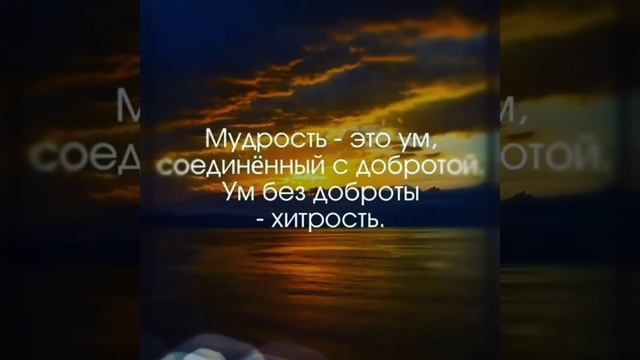 МУДРЫЕ МЫСЛИ, ЦИТАТЫ, ФИЛОСОФИЯ