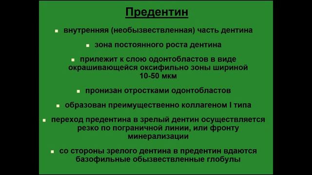 Гистологическое строение зуба. Ткани зуба. Дентин смотреть онлайн