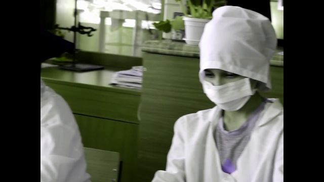 Дети о кактусах. Кактусоводы ЮНИОР смотреть онлайн