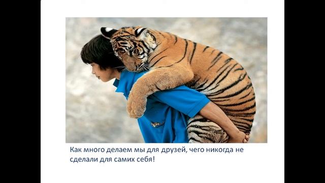 презентация на тему вот что значит настоящий верный друг смотреть онлайн