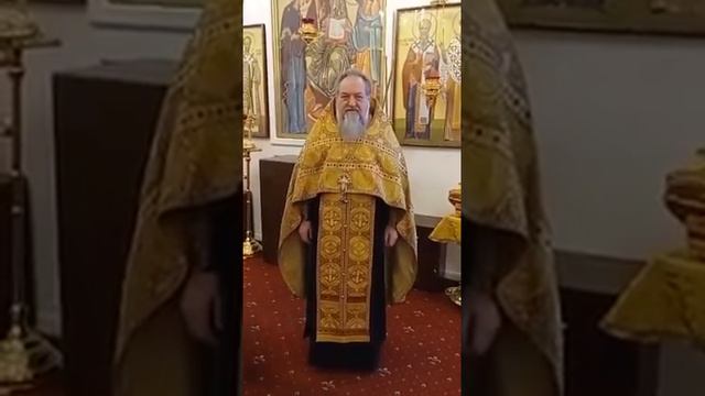 2202-2024-58981671 Лебедев Николай Николаевич смотреть онлайн