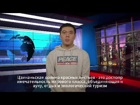 關於中國你需要了解什麼 смотреть онлайн