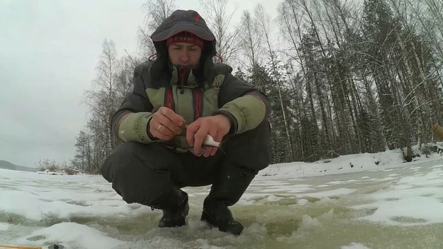 Ловля плотвы и окуня на выходе Боровецкой заводи, Десногорское водохранилище. смотреть онлайн