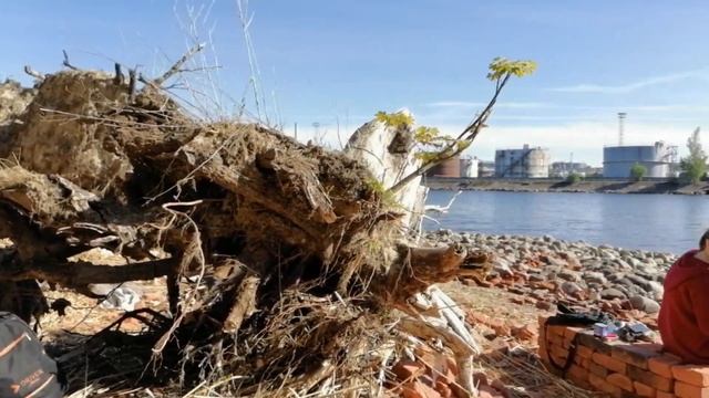 "Морские золотые ворота" Санкт-Петербурга. 30.05.2020. смотреть онлайн