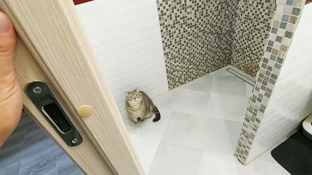 После ремонта,обзор ванной и туалета,планировка.After renovation,bathroom and toilet overview,layou смотреть онлайн