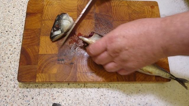 Самый лучший СПОСОБ ЧИСТКИ СКУМБРИИ /how To Clean Mackerel