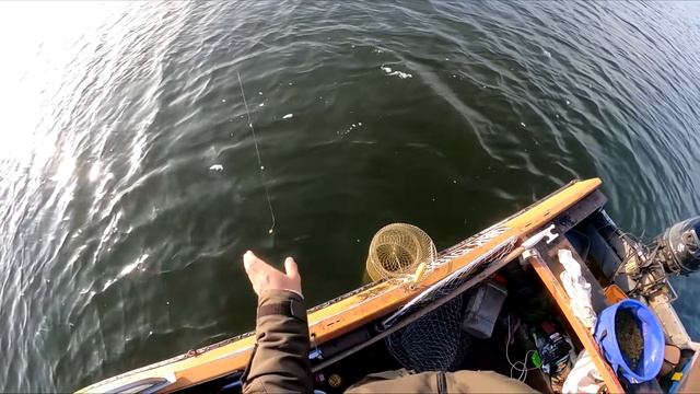 Последняя рыбалка перед ЗАПРЕТОМ ( КОНСЕРВА )Последняя рыбалка перед ЗАПРЕТОМ ( КОНСЕРВА ) смотреть онлайн